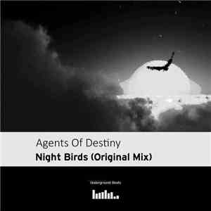Agents Of Destiny - Night Birds