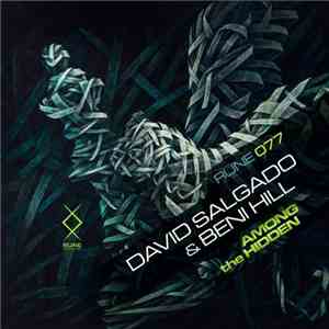 David Salgado & Beni Hill - Among The Hidden