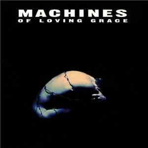 Machines Of Loving Grace - Concentration