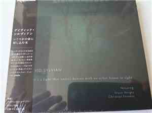 David Sylvian Featuring Franz Wright, Christian Fennesz - There's A Light That Enters Houses With No Other House In Sight
