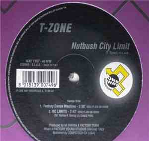 T-Zone - Nutbush City Limit