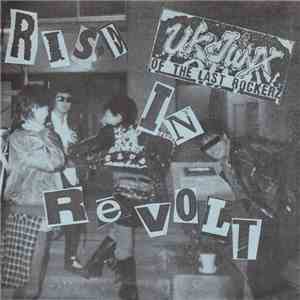 UK Junx - Rise In Revolt
