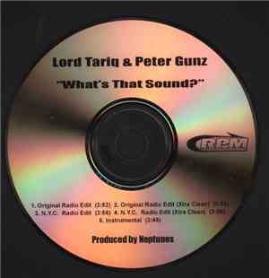 Lord Tariq & Peter Gunz - What's That Sound?