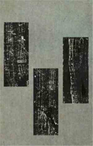 Stone Baby - Debris