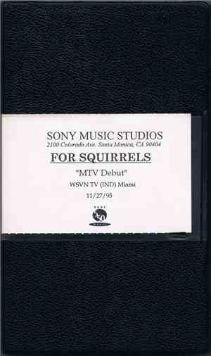 For Squirrels - MTV Debut