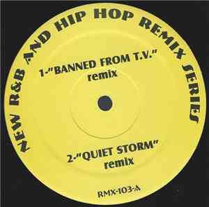 Various - New R&B And Hip Hop Remix Series