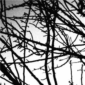 elizabeth Veldon - How Great A Loss